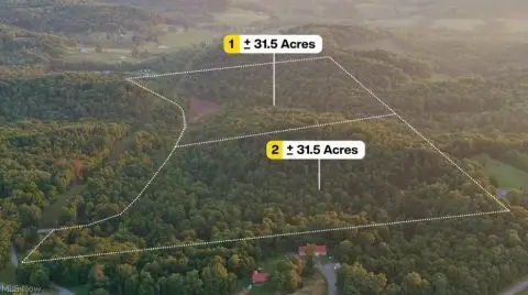Wooded Hunting Land