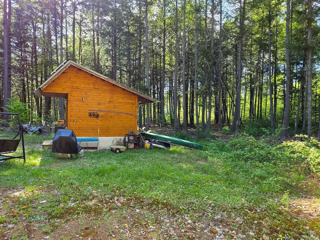 Picture 9