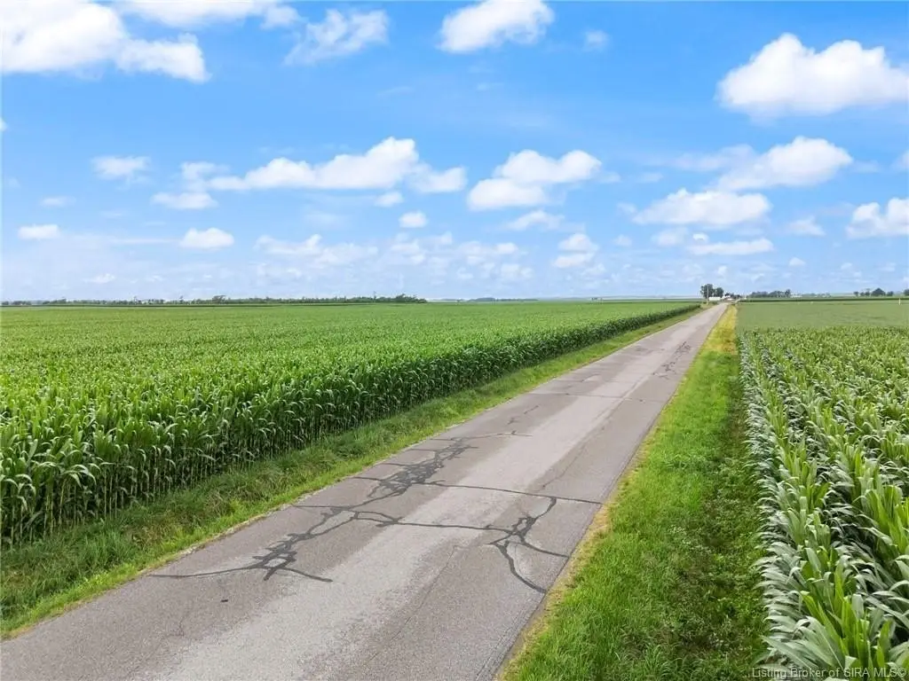 Picture 19