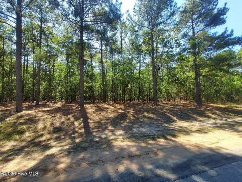 Deercroft Community Homesite Opportunity