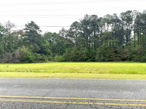Residential Land in Andalusia, AL