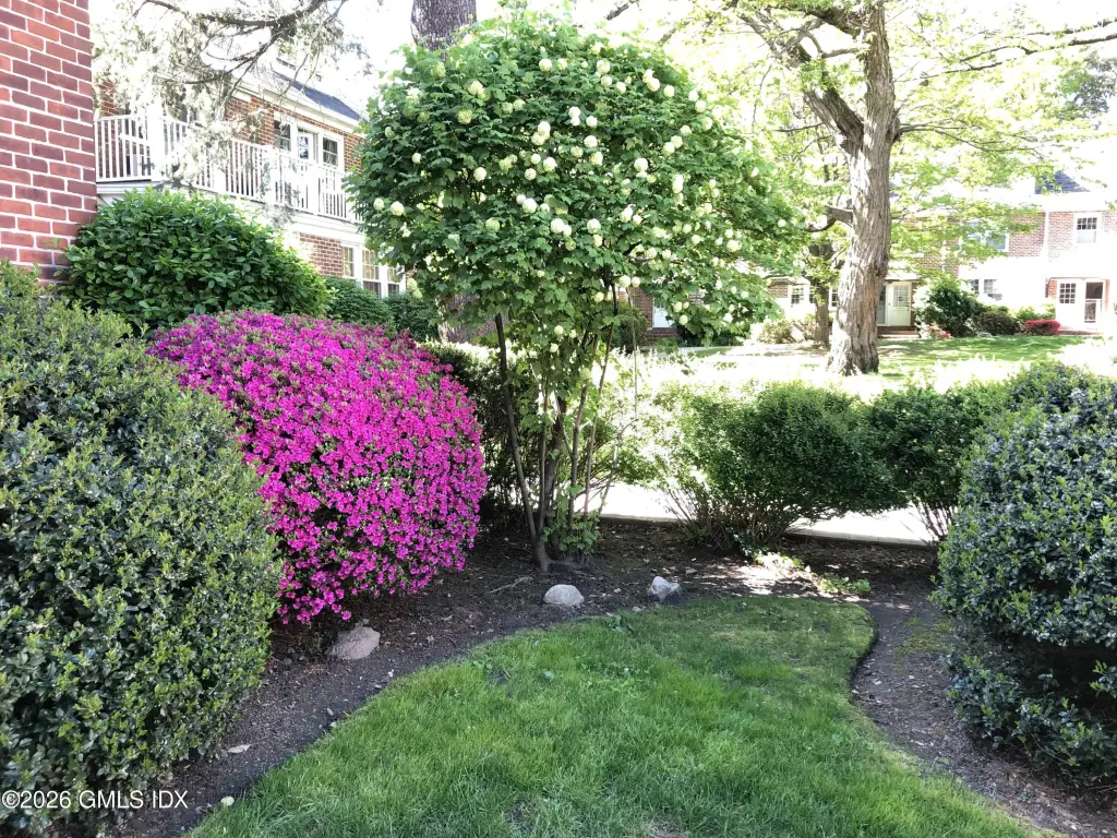 Picture 37