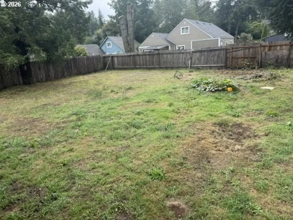 Picture 14
