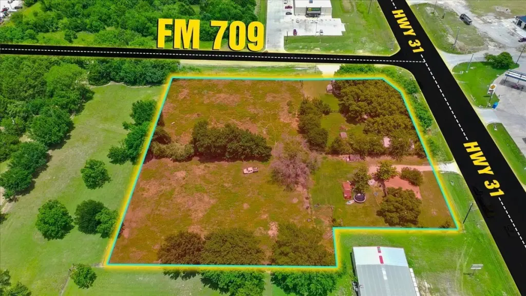 Picture 3
