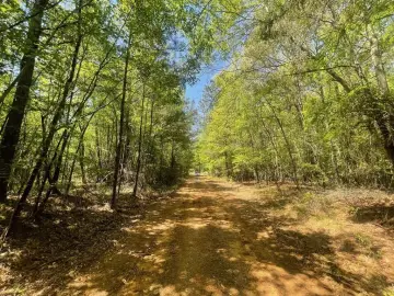 Expansive Acreage Near Minden
