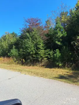 Residential Land in Iron Station