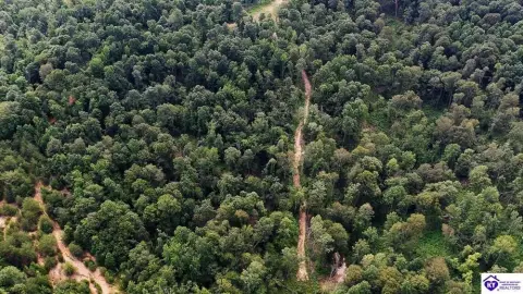 Cromwell, KY Acreage For Sale