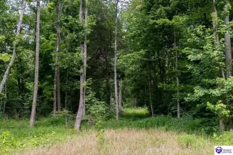 Hunting Land in Cromwell, KY