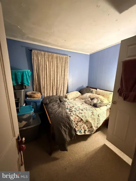 Picture 50