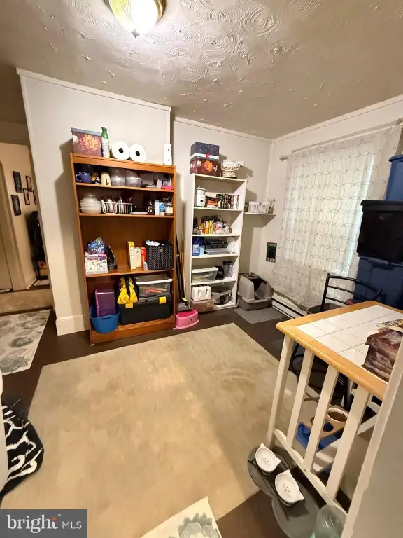 Picture 43