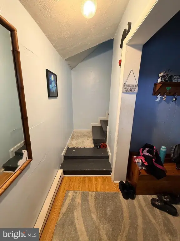 Picture 37