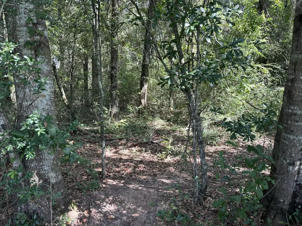 Picture 14