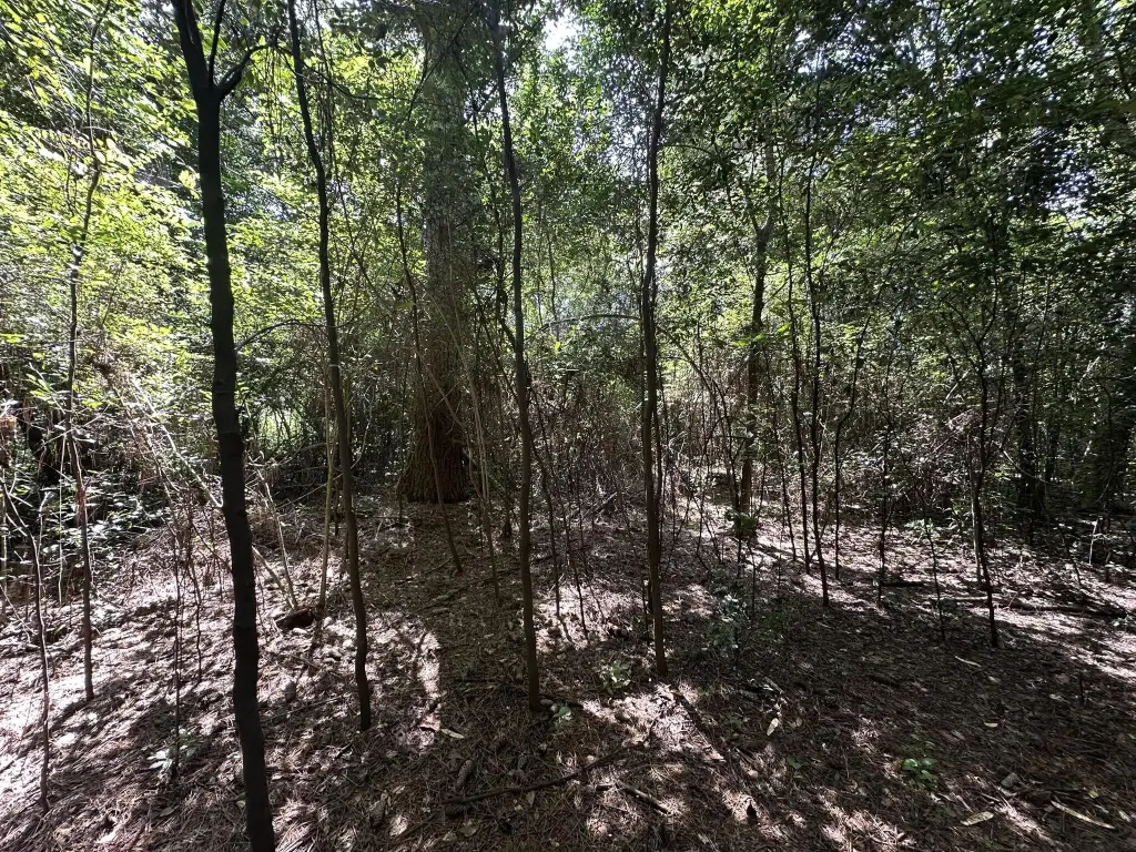 Picture 19