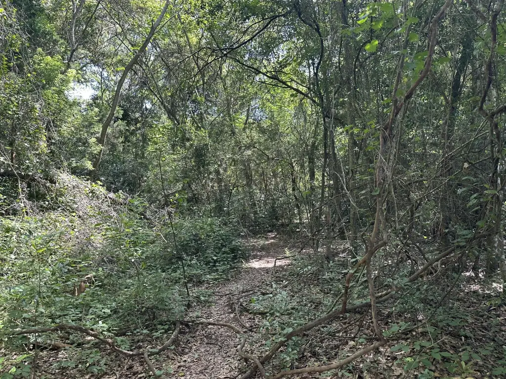 Picture 16