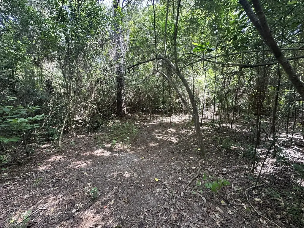 Picture 17