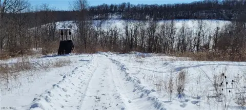 Secluded Hunting Land in Warsaw, OH