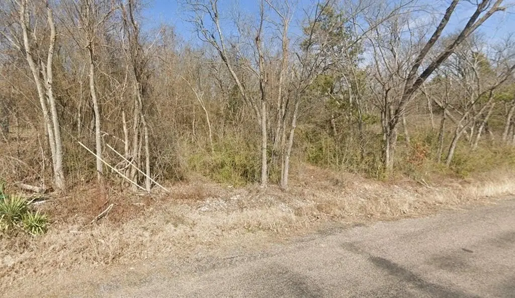 Picture 2