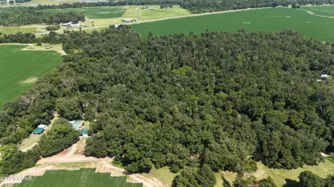 Wooded Recreational Land