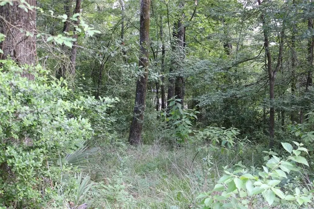 Picture 7