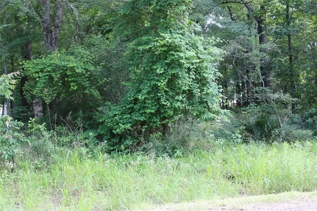 Picture 11