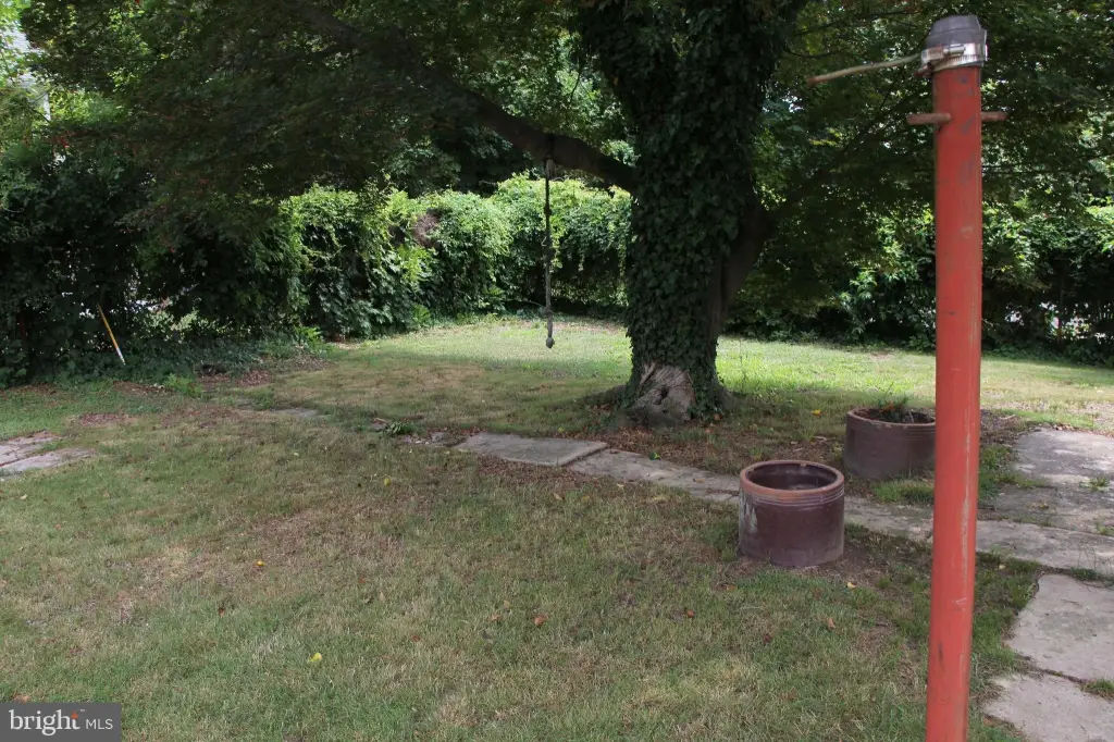 Picture 25