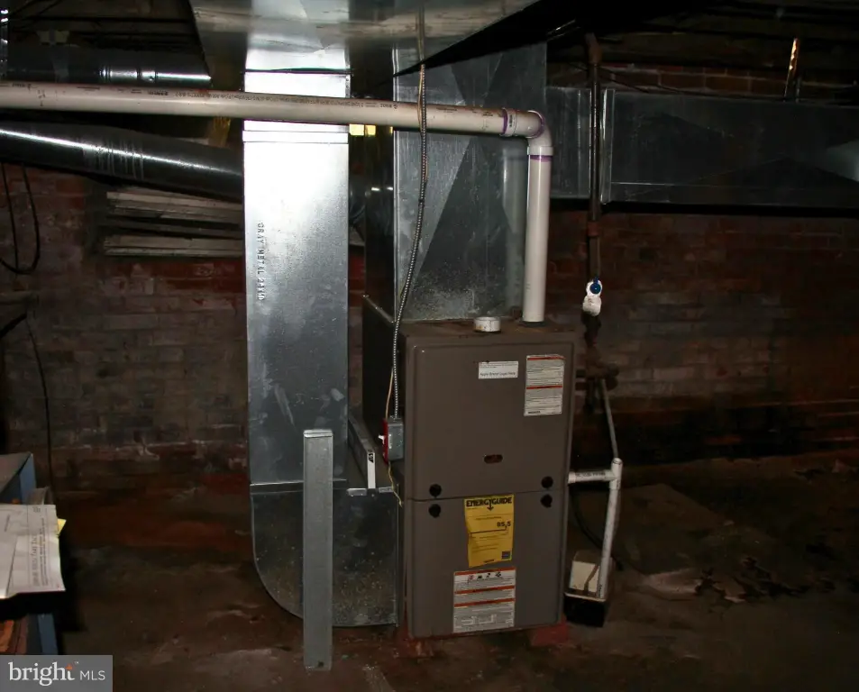 Picture 21