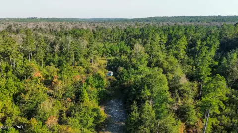 225 Acres Wooded Land Alford