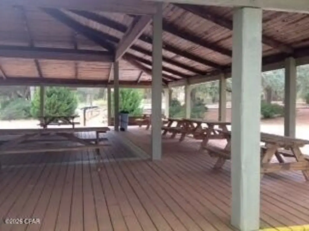 Picture 31