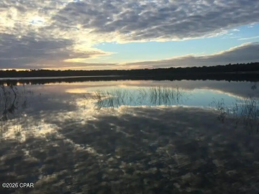 Picture 38