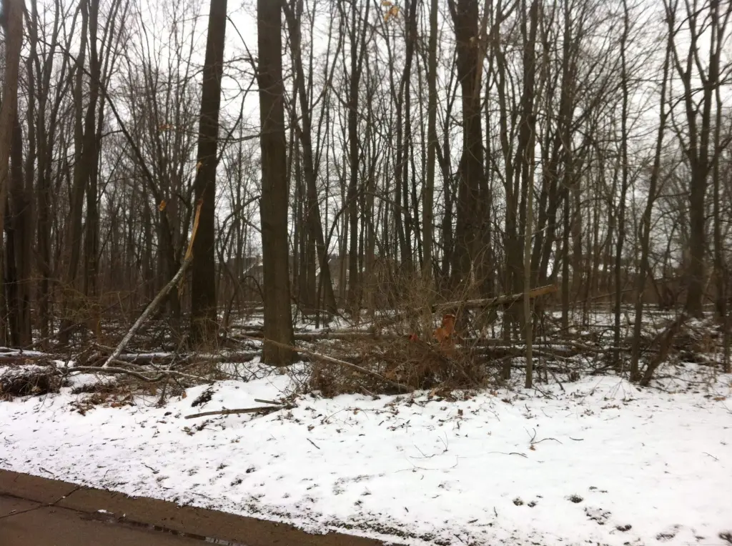 Picture 3