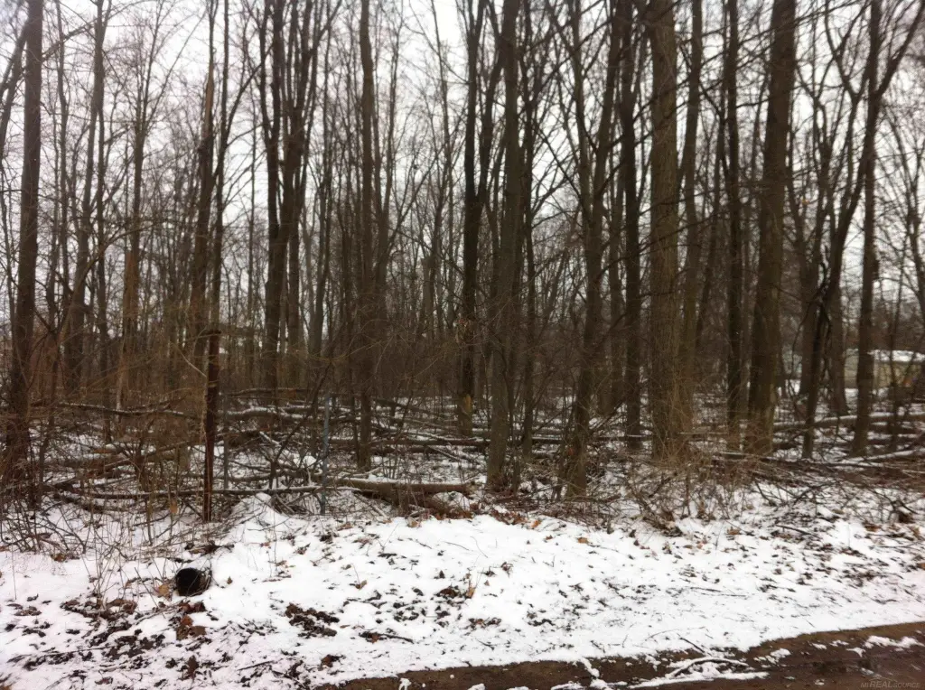 Picture 4