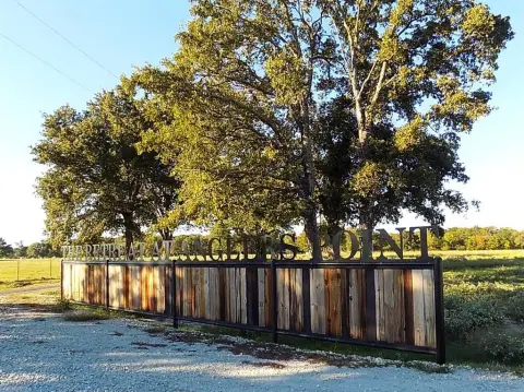 Waterfront Lot on Lake Fork