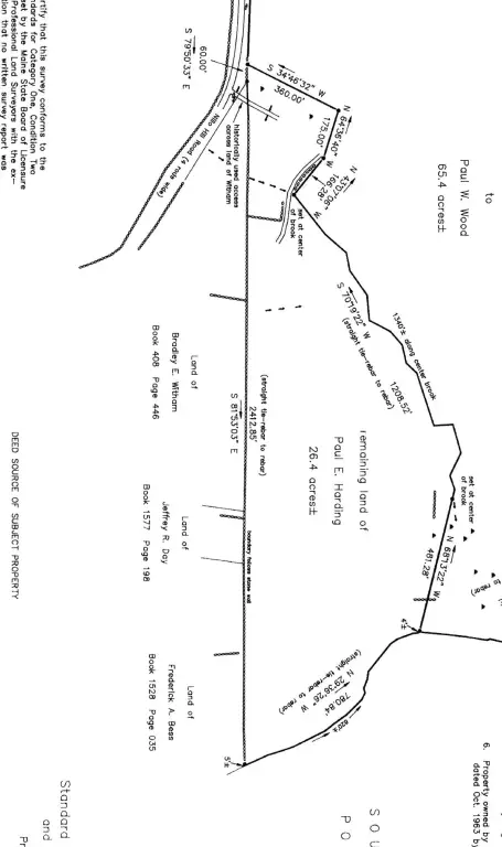 Picture 13