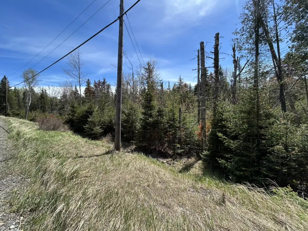 Picture 7