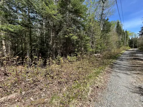 Wooded Land Near Beaver Mt Lake