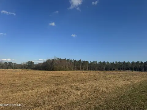 40 Acres of Farmland