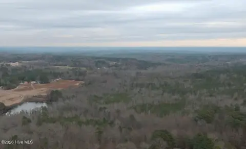 Lee County Wooded Land Parcel