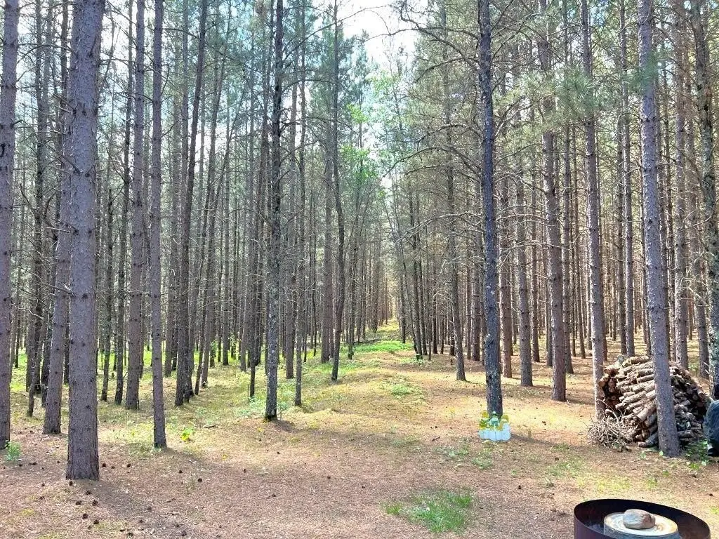 Picture 7