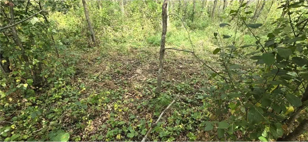 Picture 20