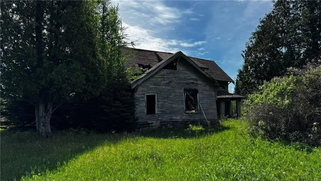 Picture 5