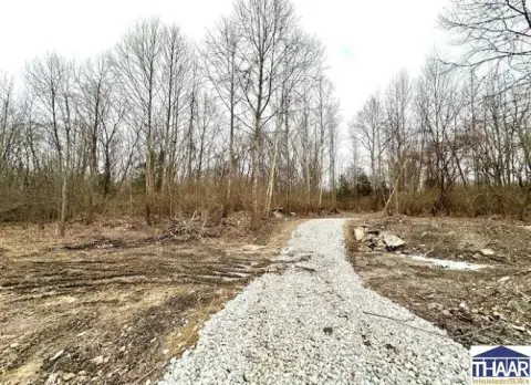 4.2 Acre Wooded Residential Lot
