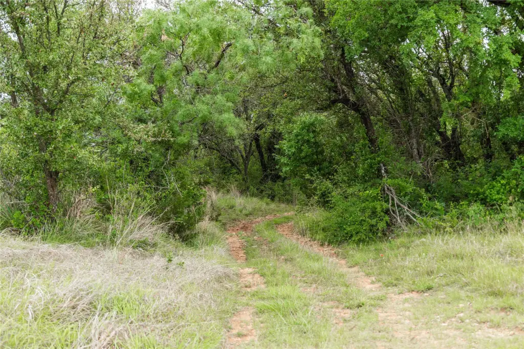 Picture 19