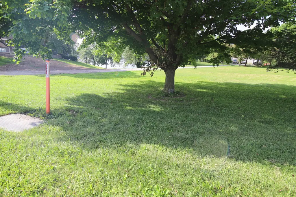 Picture 46