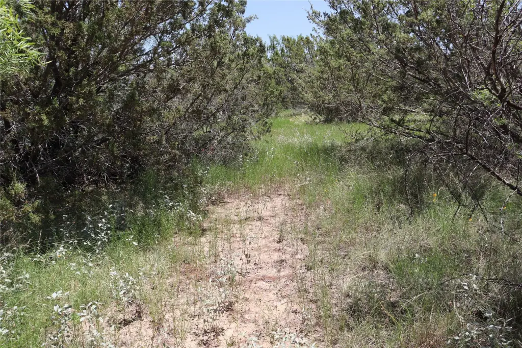 Picture 25