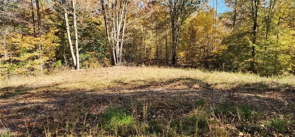 Picture 10