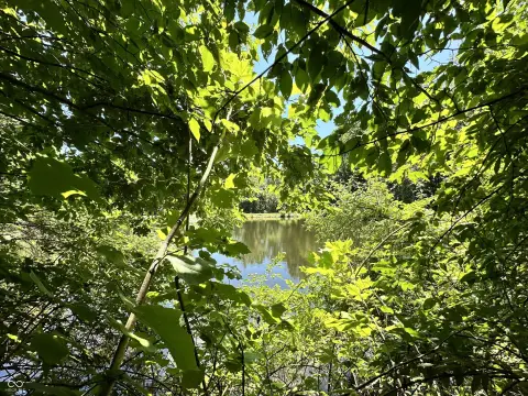 Waterfront Residential Lots in Martinsville