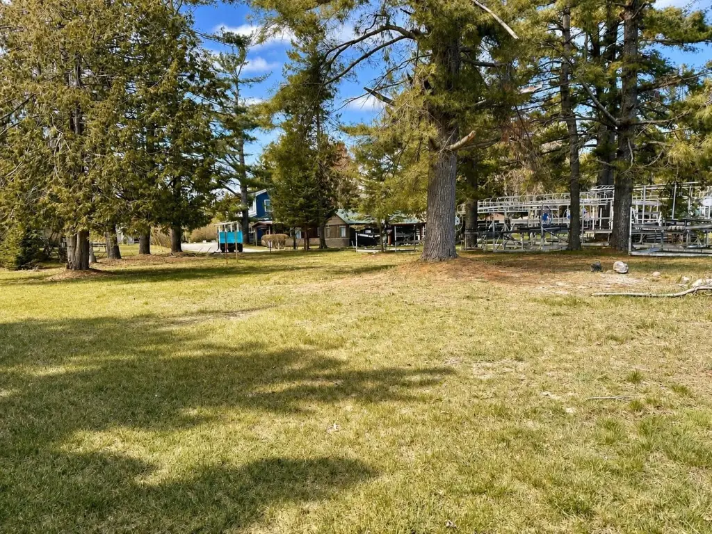 Picture 4