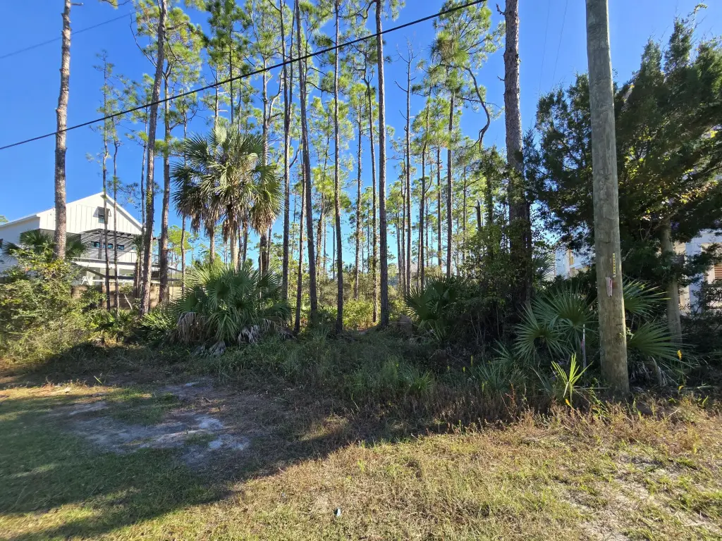 Picture 18