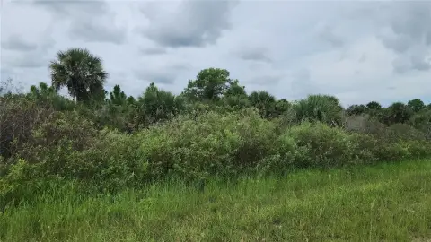 Okeechobee Residential/Agricultural Land Parcel
