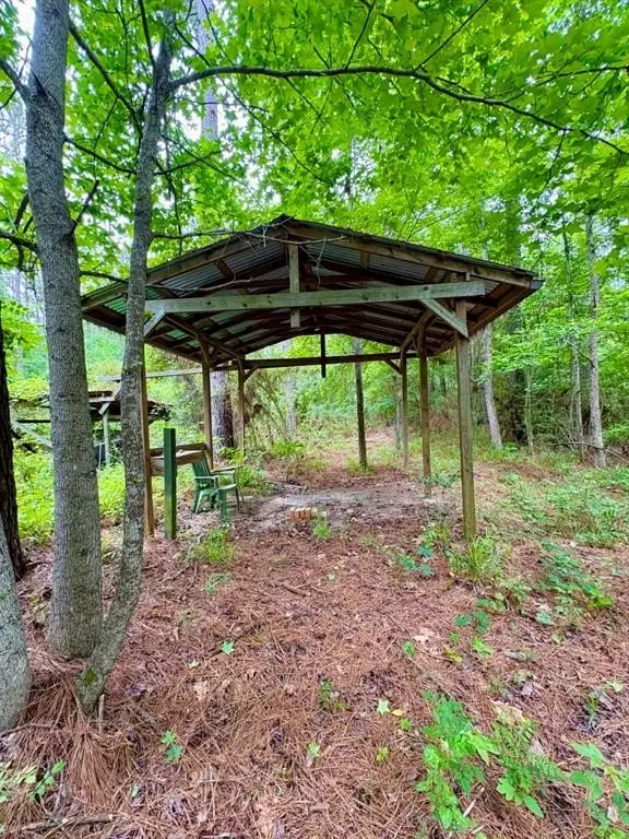 Picture 3